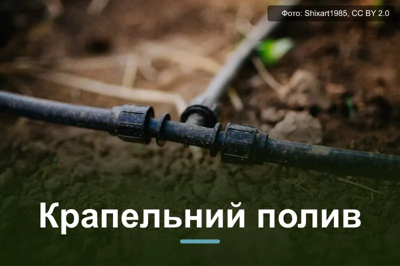 Крапельний полив своїми руками: схема і монтаж