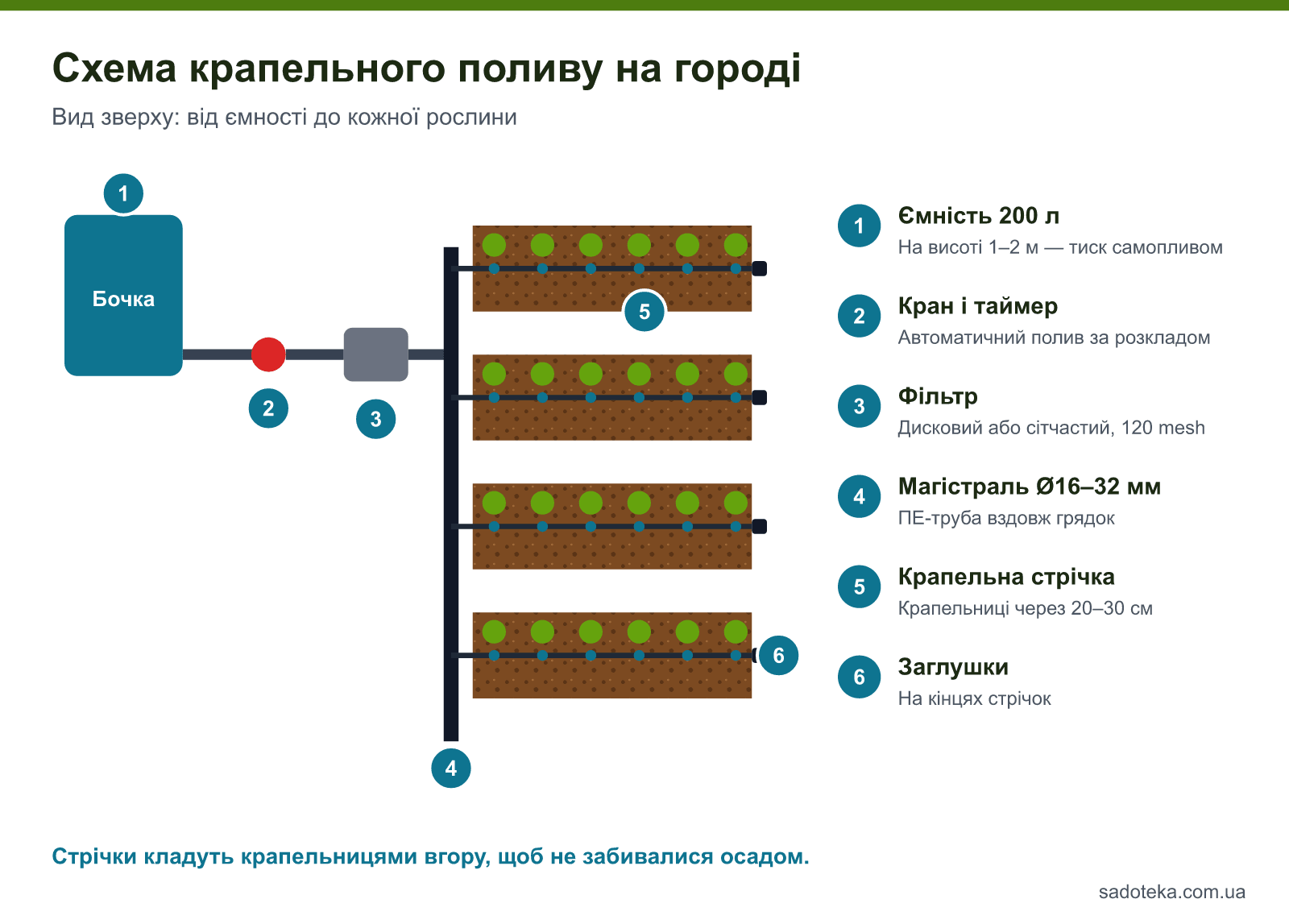 Схема крапельного поливу на городі: бочка, кран із таймером, фільтр, магістраль, крапельні стрічки й заглушки