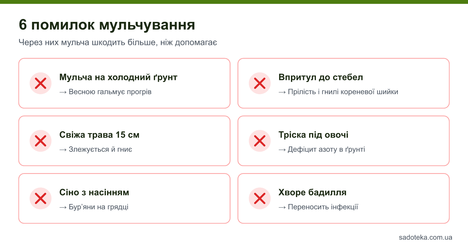 6 помилок мульчування: мульча на холодний ґрунт, впритул до стебел, свіжа трава товстим шаром, тріска під овочі, сіно з насінням, хворе бадилля