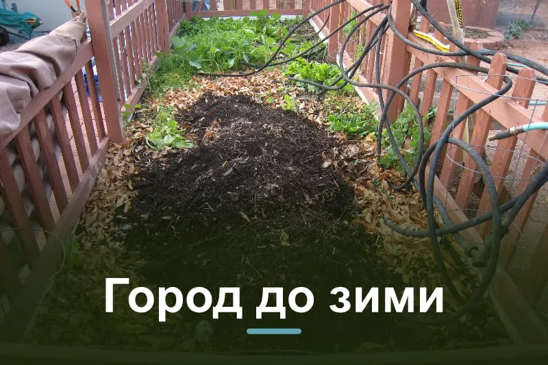 Підготовка городу до зими: що зробити восени