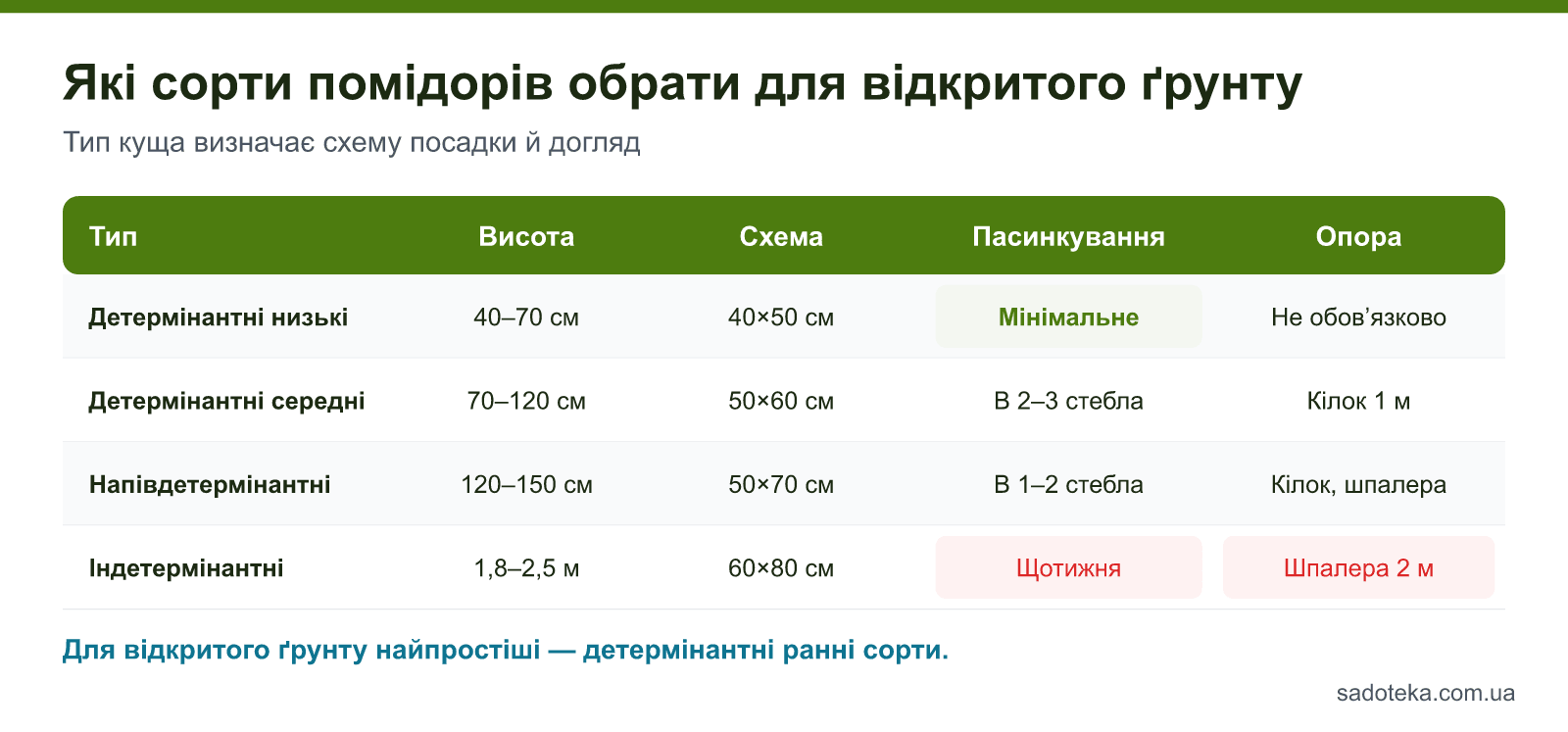 Таблиця типів помідорів для відкритого ґрунту: детермінантні, напівдетермінантні, індетермінантні — висота, схема посадки, пасинкування й опора