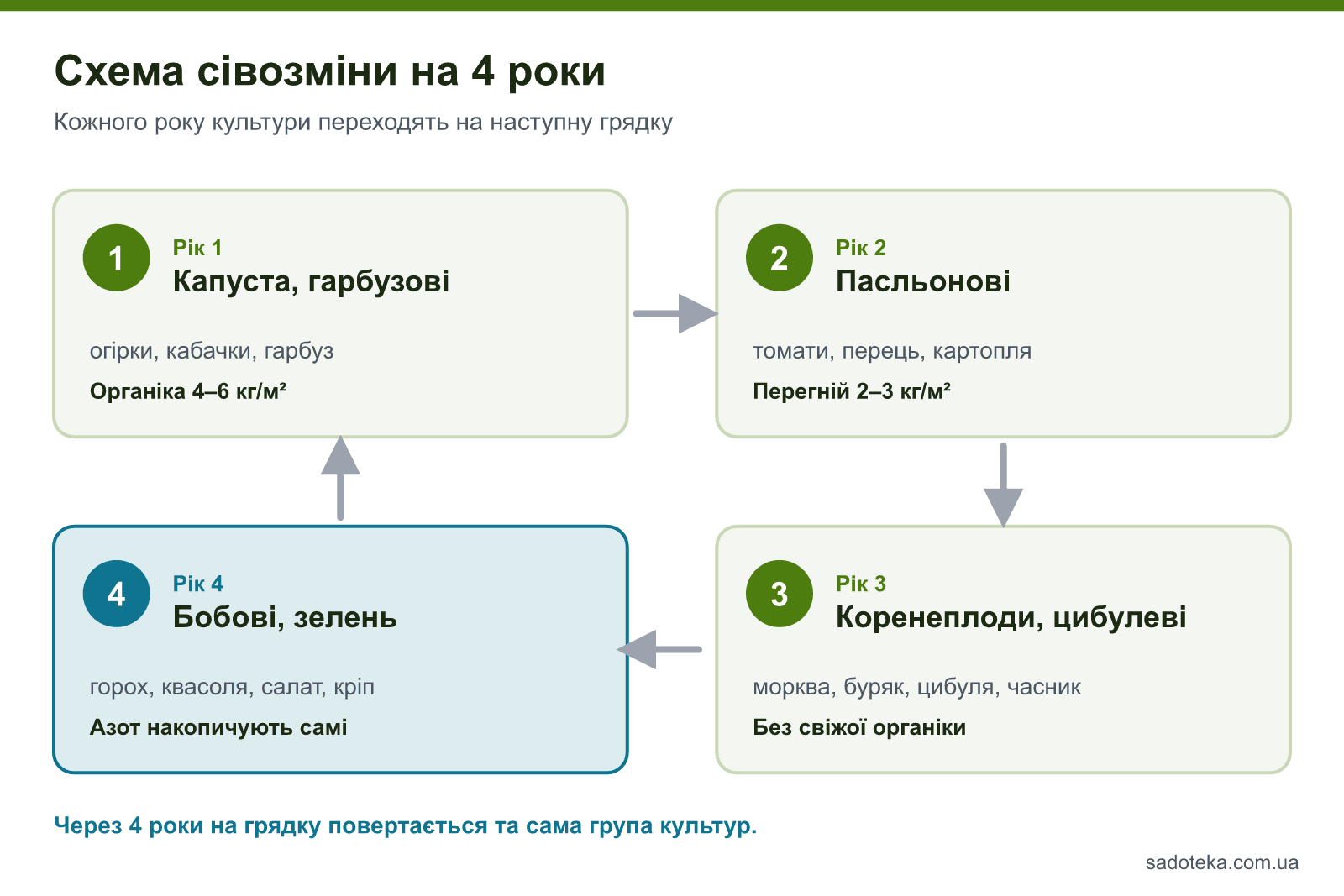 Схема сівозміни на 4 роки: капуста й гарбузові, пасльонові, коренеплоди й цибулеві, бобові й зелень — з нормами органіки