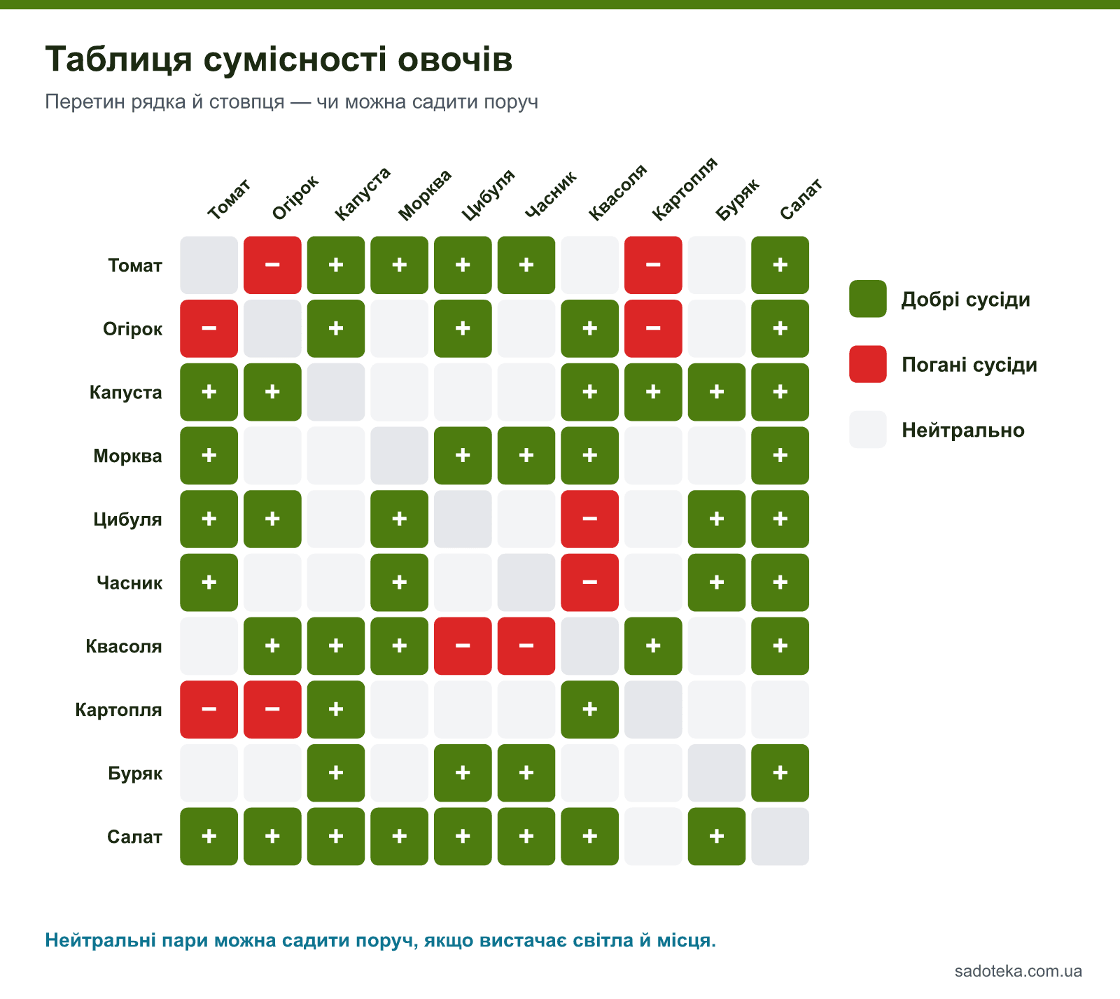 Таблиця сумісності овочів на грядці: томат, огірок, капуста, морква, цибуля, часник, квасоля, картопля, буряк, салат — добрі й погані сусіди