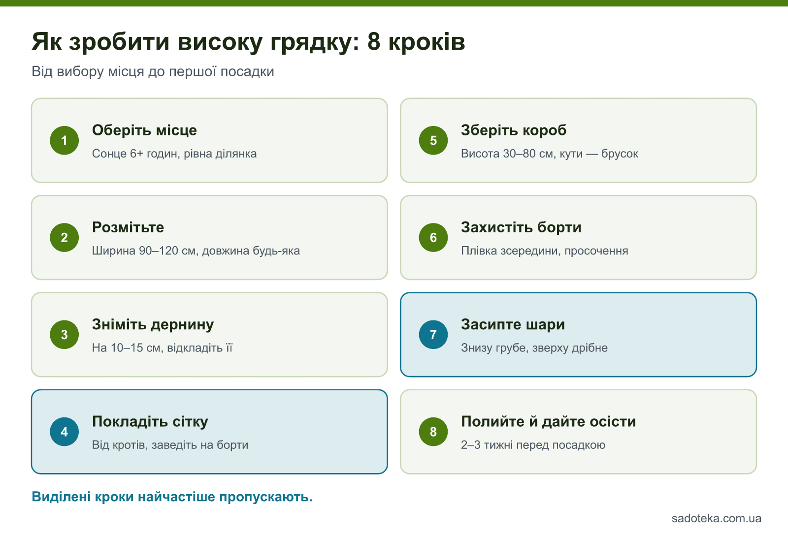 Як зробити високу грядку: 8 кроків від вибору місця до першої посадки
