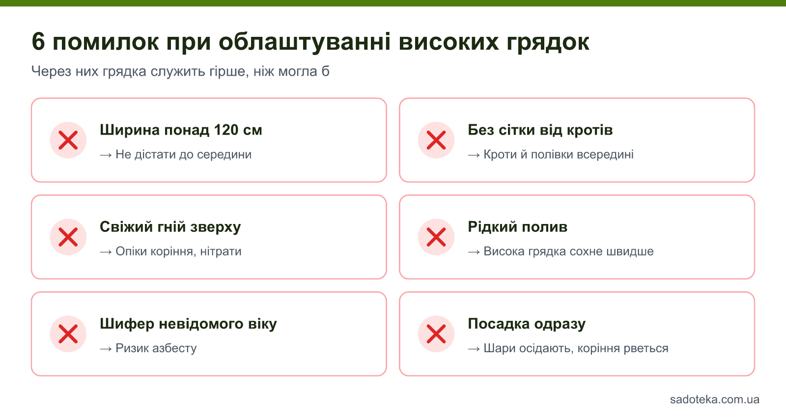6 помилок при облаштуванні високих грядок: ширина понад 120 см, відсутність сітки, свіжий гній зверху, рідкий полив, шифер, посадка одразу