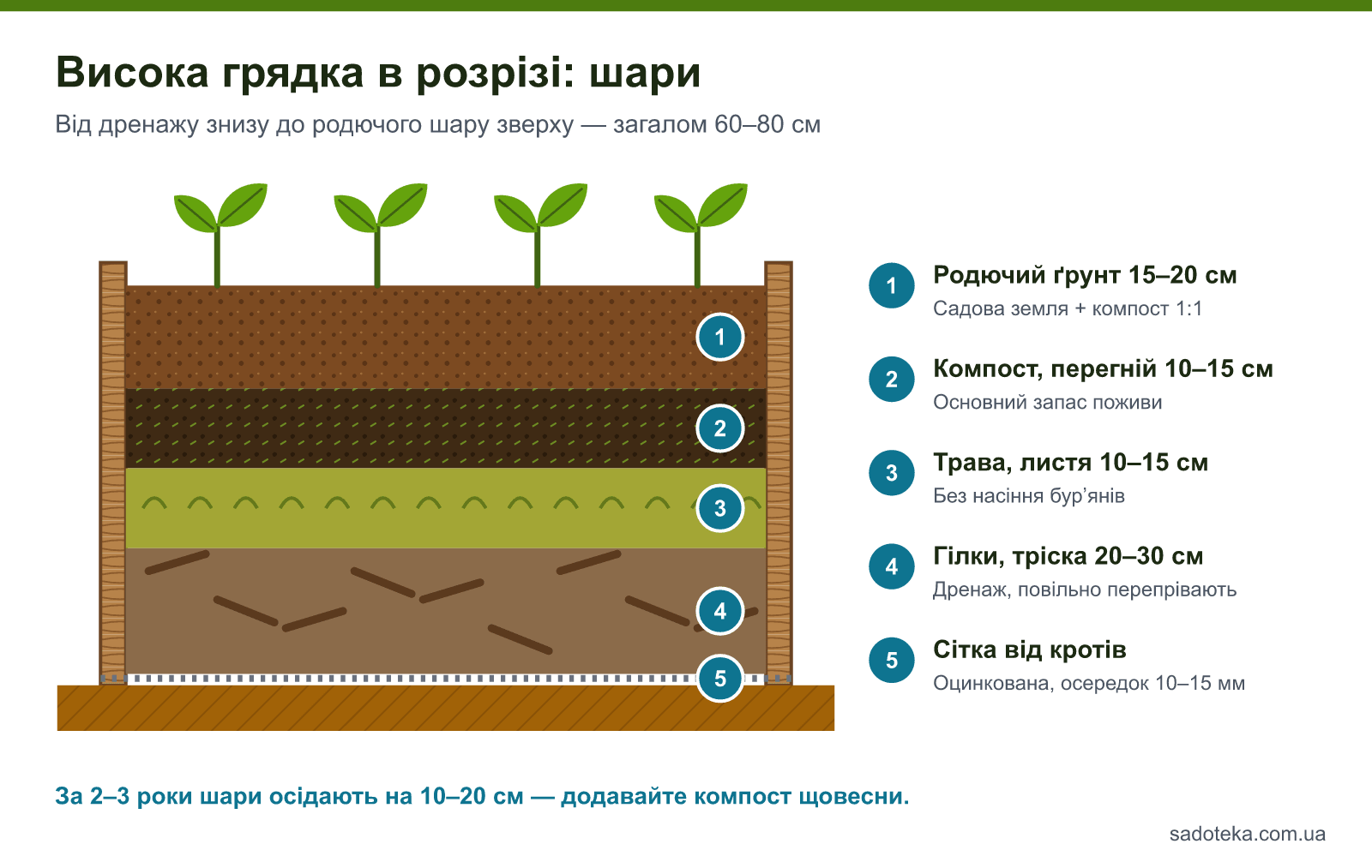 Висока грядка в розрізі: родючий ґрунт, компост, трава й листя, гілки, сітка від кротів