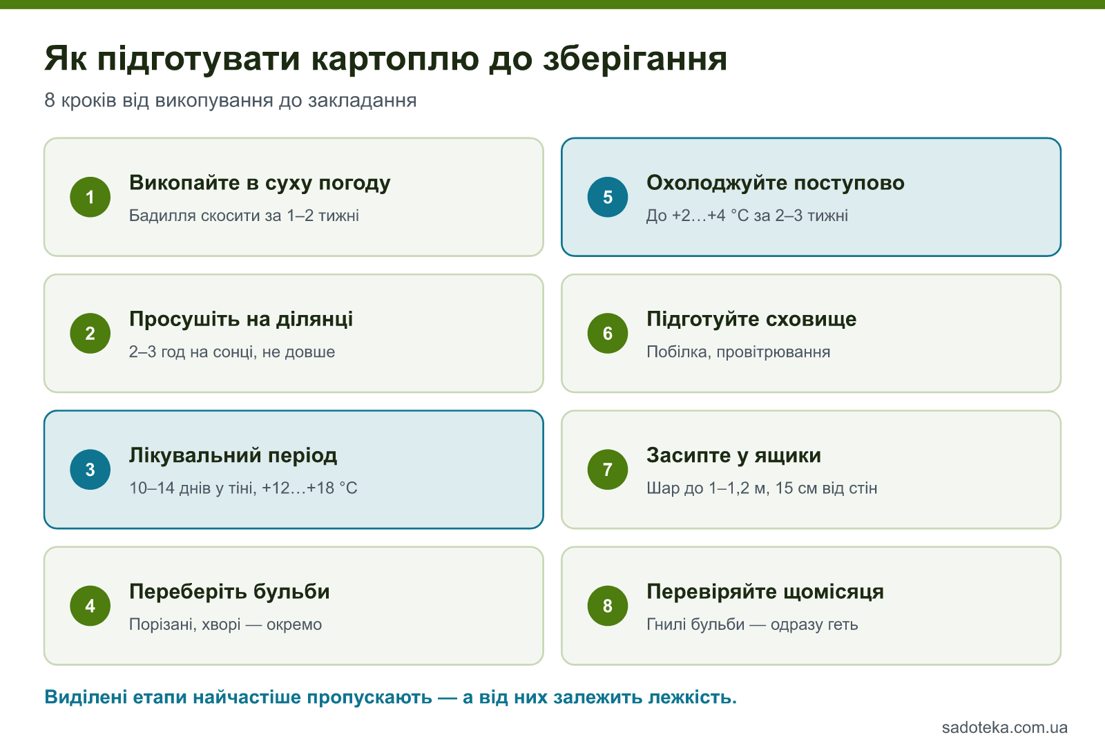 Підготовка картоплі до зберігання у 8 кроках: від викопування в суху погоду до щомісячної перевірки